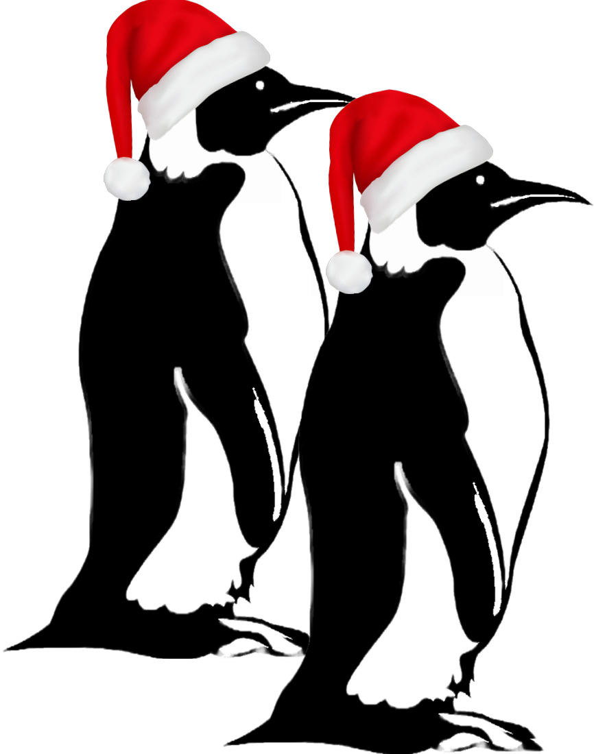 uneke 2pengs santa hats